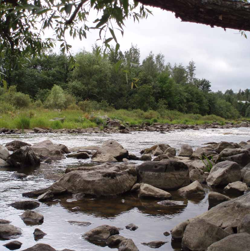 Loimijoki on aikojen kuluessa muuttanut uomaansa maanvyörymän seurauksena, ja vanha jokiuoma kulkee Vanhakosken lehdon läpi pienten lampien muodostamana ketjuna.