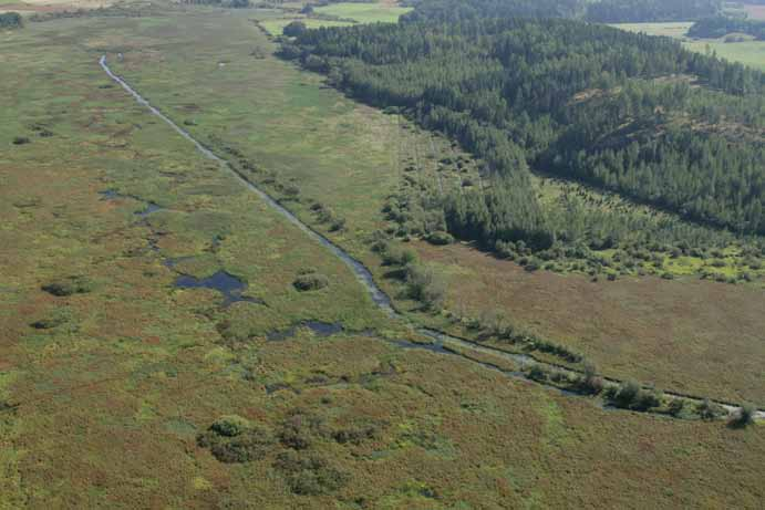 3 Kasvillisuusselvityksen tulokset 3.1. Järvien yleiskuvaukset Tässä luvussa käsitellään aluksi kunkin järven kasvillisuutta ja sen keskeisiä ominaispiirteitä.