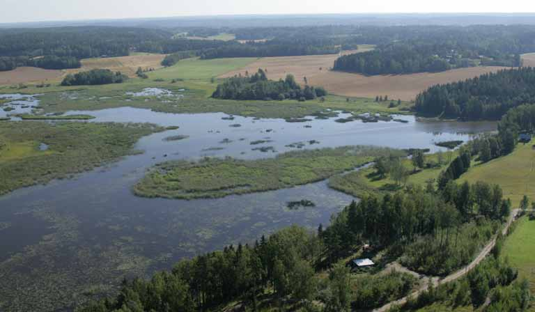 Karjan laidunnusvaikutus ulottuu melko pitkälle saraluhtaan ja joen ympäristössä aivan rantaviivaan saakka.
