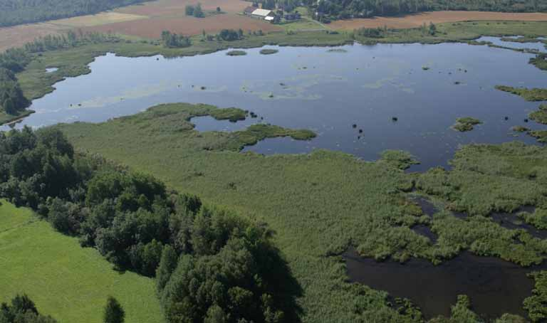 Väänteenjoki on aikojen kuluessa tuonut alueelle runsaasti kiintoainesta, joka on muodostanut laajan suistomaisen muodostuman.