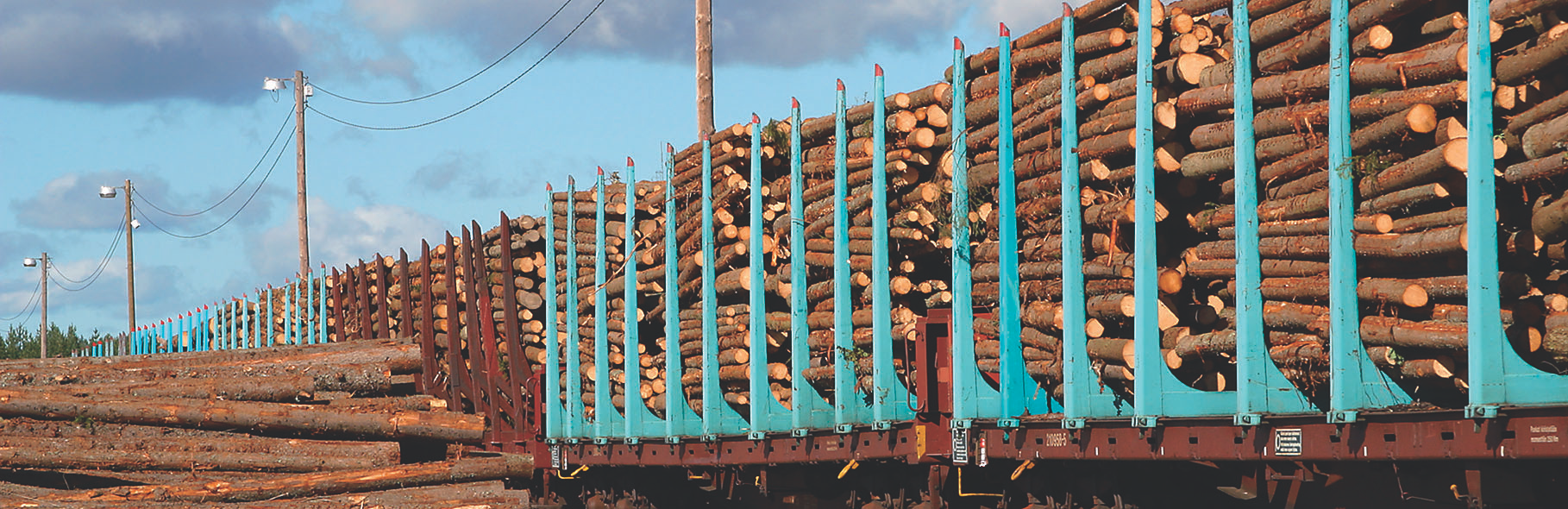 1 METSÄTEOLLISUUDEN ULKOMAANKAUPPA Vuonna 22 metsäteollisuustuotteita vietiin maastamme 12 miljardin euron arvosta. Suomen koko tavaraviennistä metsäteollisuustuotteet muodostivat neljänneksen.