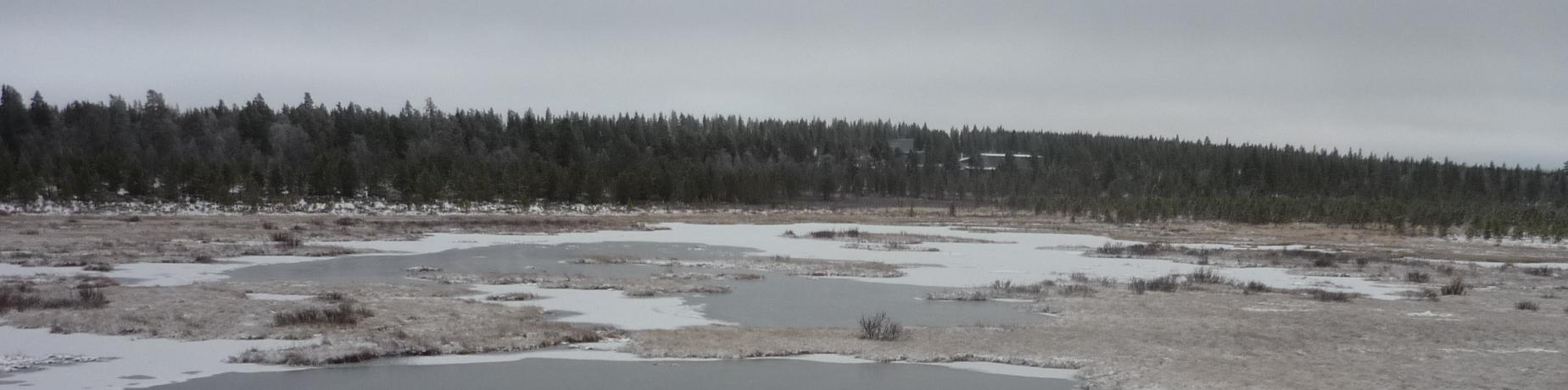 ASEMAKAAVASELOSTUS SAVUKOSKEN KUNTA