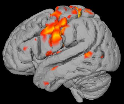 fmri vs. DCS vs.