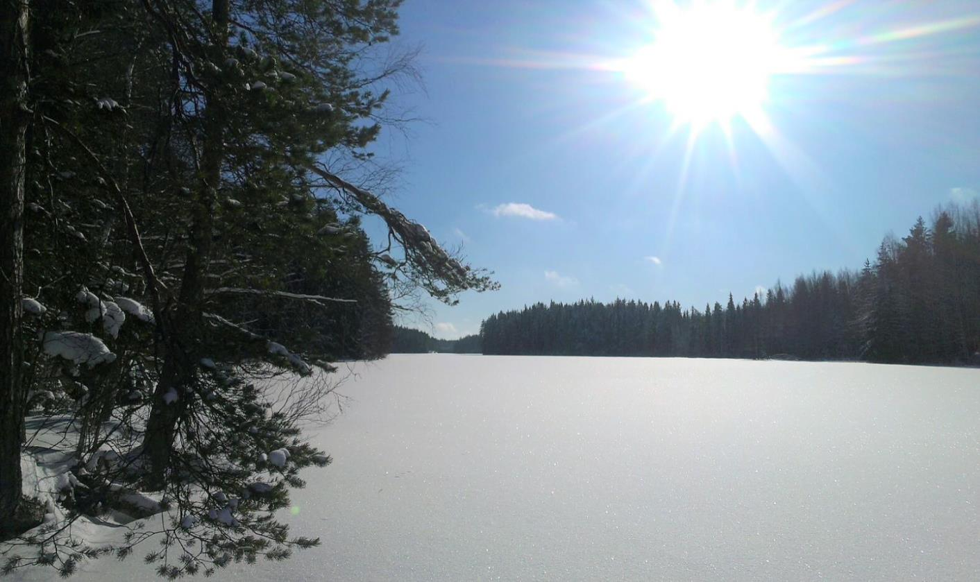 Kiitos mielenkiinnosta Oikein hyvää