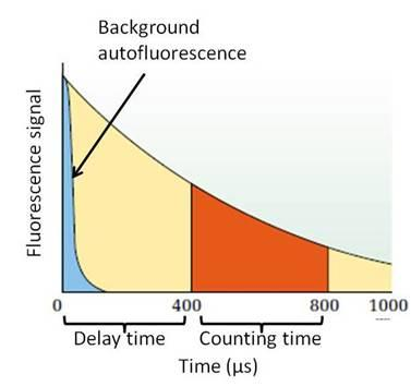 30 Kuva 13 Aikaerotteinen fluorometria (PerkinElmer 2015) Lantanidikelaatit ovat hyviä luminoforeja, sillä niillä on pitkäikäinen emissio ja kapeat emissiopiikit.