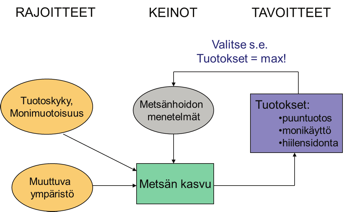 Kuva 1. Metsänhoidon suunnittelun optimointitehtävä.