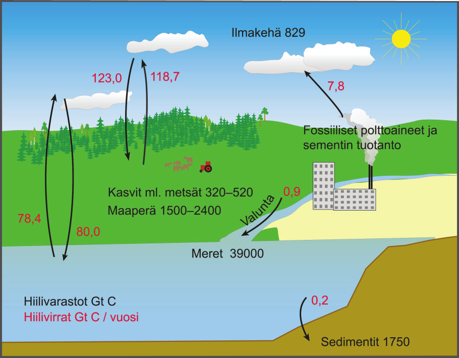 Skenaarioita Suomen metsien hiilinieluista Risto Sievänen Tausta Metsät ovat merkittävä tekijä maapallon ilmakehän hiilivirroissa, kuva 1.
