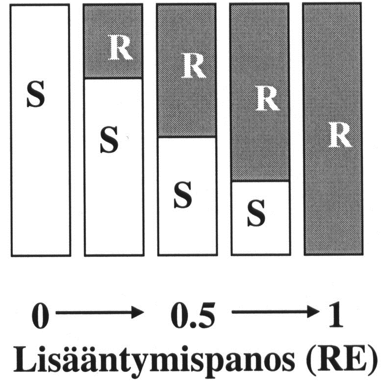 4 Lisääntymispanos (reproductive effort, RE) Lisääntymispanos (RE) = lisääntymiseen investoitu suhteellinen osuus