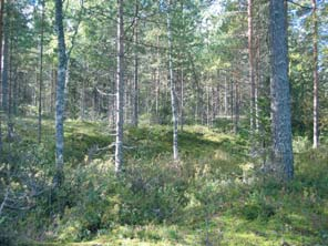 Maanvastaanoton päätyttyä Hepovuori maisemoidaan ja se palautuu virkistyskäyttöön.
