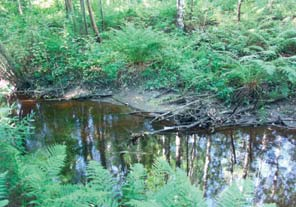 tarkoitus sisällyttää Natura 2000 -verkostoon, hankkeen toteuttajan tai suunnitelman laatijan on asianmukaisella tavalla arvioitava nämä vaikutukset.