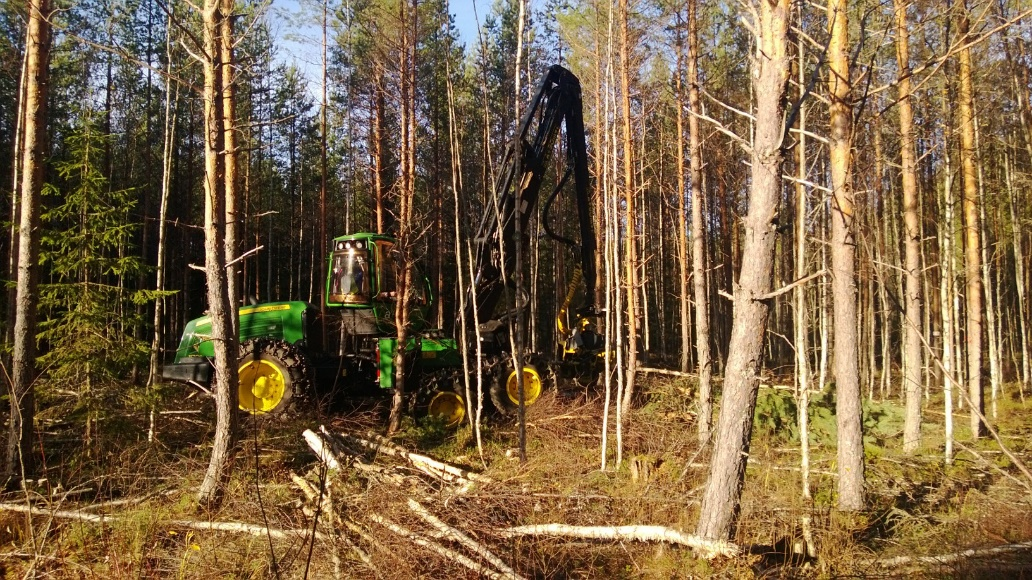 Aineisto ja menetelmät Työmalleja tutkittiin Mäntän lähellä ensiharvennusleimikolla lokakuussa 2013.