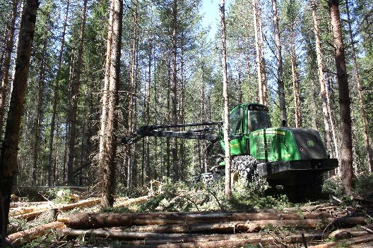 kouraan Tehokkaita työperiaatteita yhdistettynä työskentelysektoriin: Valitse puut, jotka sijaitsevat lähekkäin, ryhmissä tai rivissä.