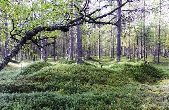 maavalliperustus Mihkalijärven