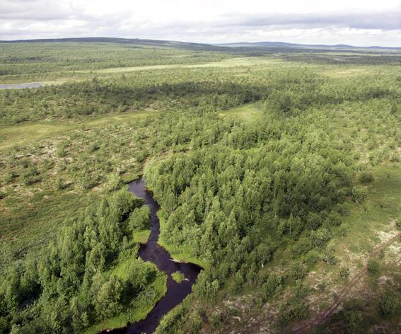 Inari. Maisema Jäkäläpäästä pohjoiseen.