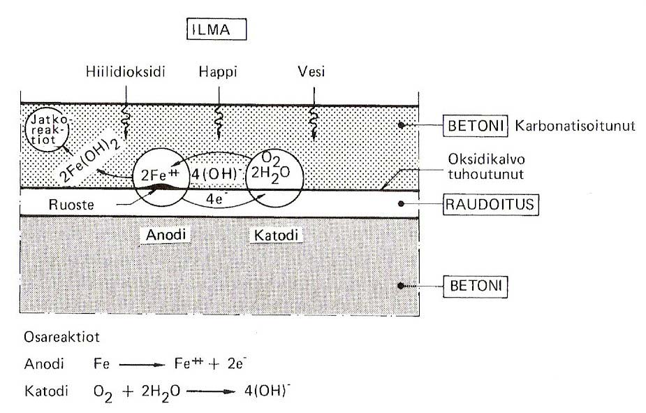 24 3.3 Halkeamien vaikutus karbonatisoitumiseen Betoni karbonatisoituu kiilamaisesti halkeamien kohdalla muuta betonia syvemmälle.