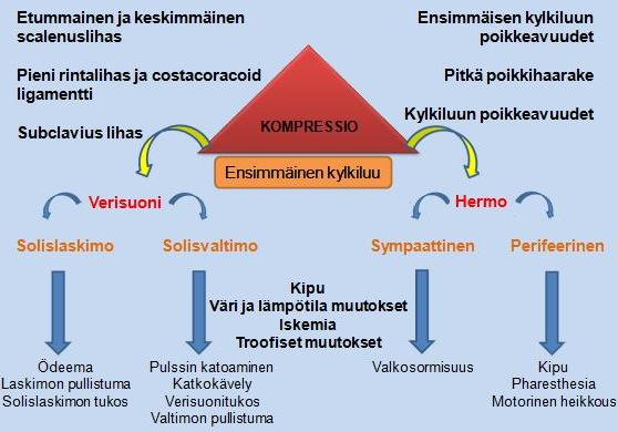 7 Tyypillisiä TOS oireita ovat yläraajan puutuminen, voimattomuus ja särky työskennellessä käsillä vaakatasossa ja sen yläpuolella.