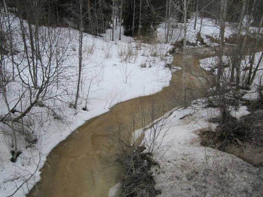 Kuva 5-5 Kuva Ohkolanjoesta Eteläisen Pikatien kohdalta Vantaanjoen yhteistarkkailutulosten perusteella Ohkolanjoen vesi on savisameaa ja ravinnepitoisuudet ovat korkeat.