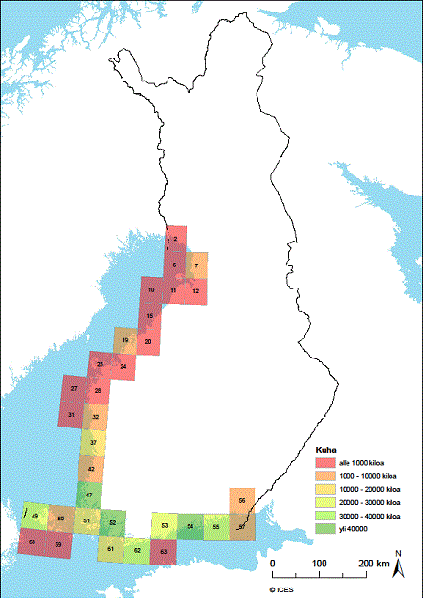 Alueellinen vaihtelu Saalismäärissä suuria alueellisia eroja,