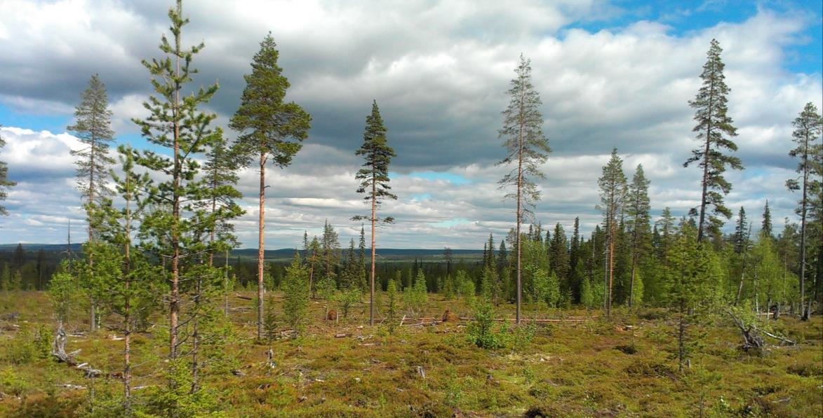 20 alkuaineista ja raskaista hivenalkuaineista kuin Kuolan niemimaan Terskin rannan kimberliitit, joiden Lee et al. (2003) uskoo olevan peräisin astenosfäärisestä vaipasta.