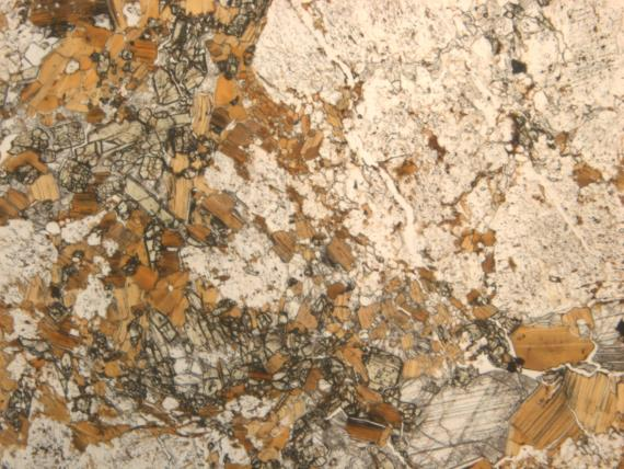 apatiittia, biotiittia, hydrobiotiittia, flogopiittia, kloriittia, Na-amfibolia, Nbmineraalia,