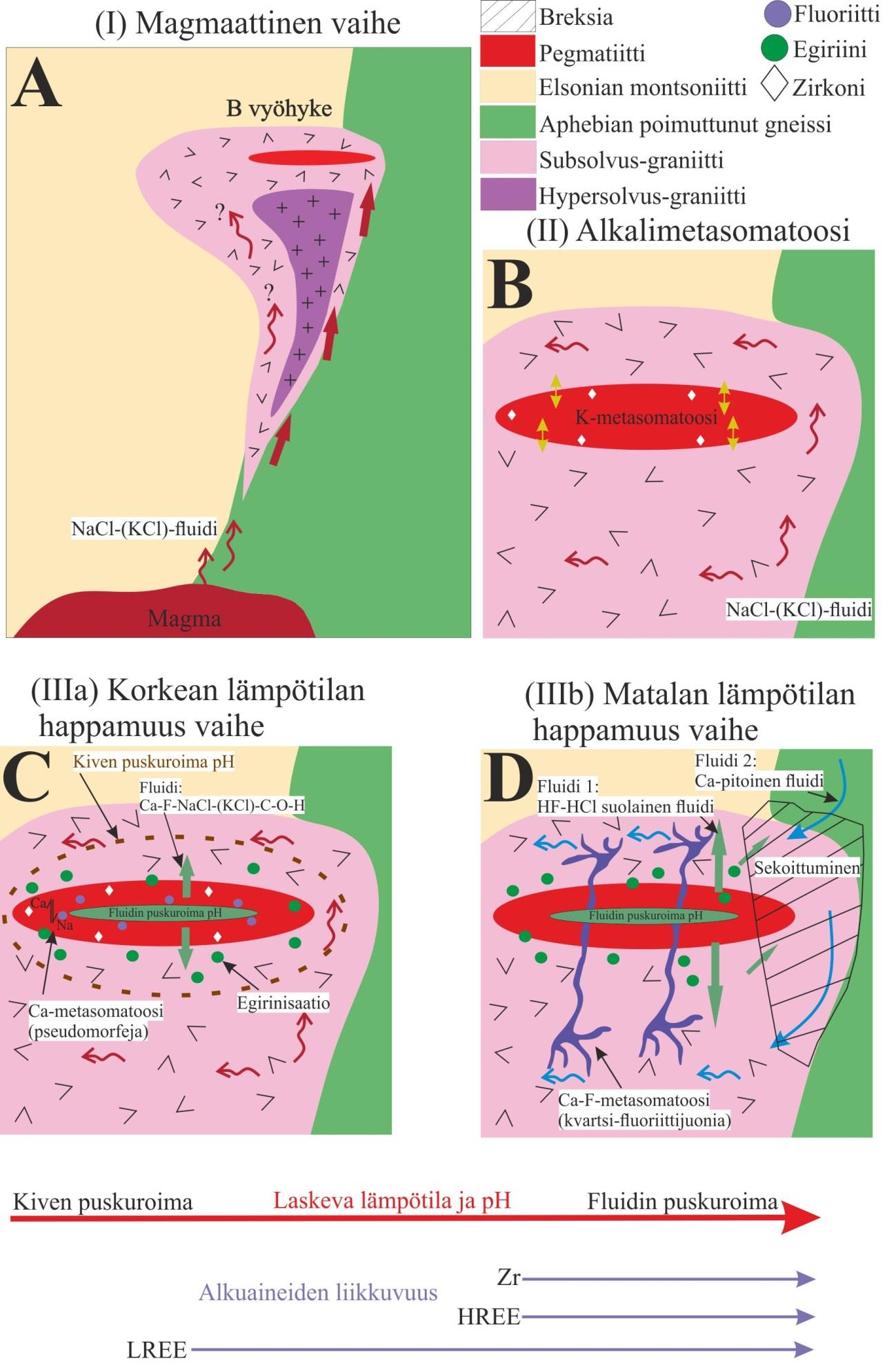 Kuva 14. Skemaattinen malli Strange Laken peralkalisen graniittiplutonin (B zone) synnystä. A) Magmaattinen vaihe. B) Alkalimetasomatoosi.