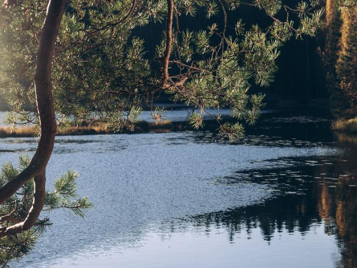 Ulkoilumaastoja ja lähipuistoja Espoo on luonnonystävien koti.