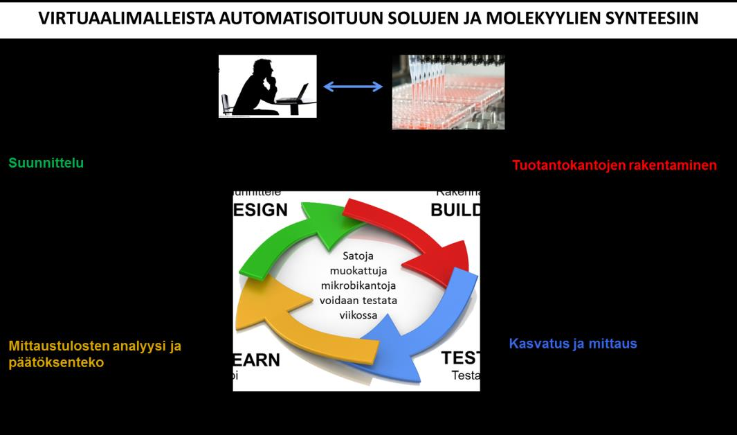 18 Synteettinen biologia kestävän bioekonomian mahdollistajana - Tiekartta Suomelle SYNTEETTISEN BIOLOGIAN MENETELMIEN KEHITYKSEN TÄRKEYS Synteettisen biologian menetelmien nopea kehittäminen