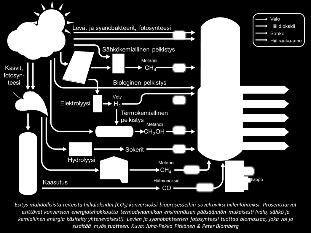 mikro-organismien, fotosynteettisten syanobakteerien ja erityisesti levien, käyttöä biopolttoaineiden ja hyödyllisten kemikaalien tuottamiseen suoraan CO 2 sta on tutkittu maailmanlaajuisesti paljon.