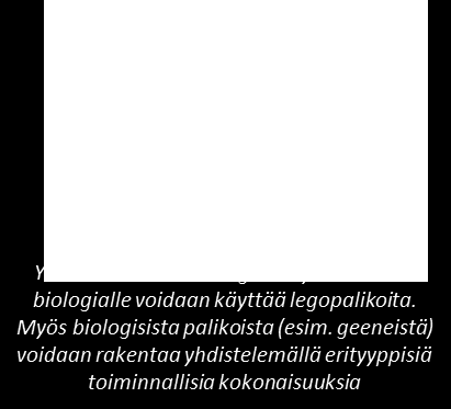 halventunut ja nopeutunut DNA n valmistus koeputkessa, mikä mahdollistaa pitkien synteettisten DNA-palojen valmistuksen.