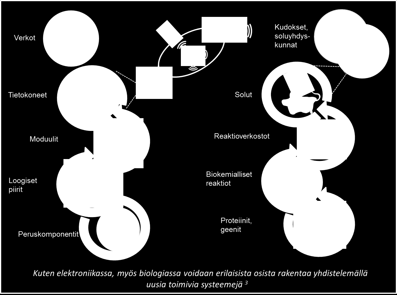6 Synteettinen biologia kestävän bioekonomian mahdollistajana - Tiekartta Suomelle Ihmisen ja muiden organismien perintöaineksen, genomin, määrittäminen johti 2000-luvun taitteessa merkittäviin