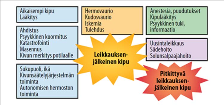 21 Kuvio 2: Leikkauksen jälkeisen akuutin kivun riskitekijöitä (Kontinen & Hamunen 2015) Niemi-Murola, Pöyhiä, Onkinen, Rhen, Mäkelä, Yildirim ja Niemi (2005) tutkivat leikkauksen jälkeisen