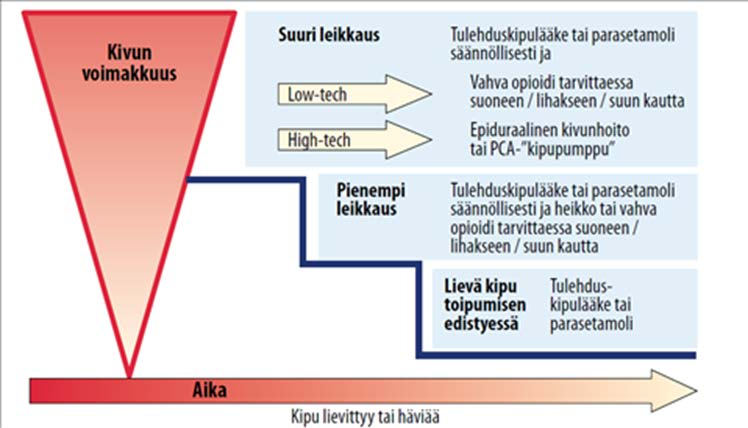 22 3.9 Postoperatiivisen kivun lääkehoito Lääkehoidon tavoitteena on ehkäistä potilaan kipua tehokkaasti. Kivun lääkehoidossa tulee lääkitys valita kivun voimakkuuden mukaan.