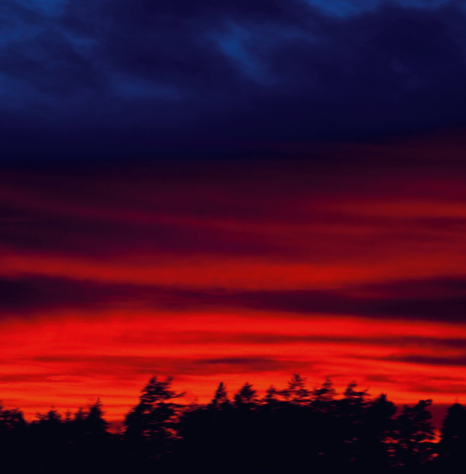 SIBELIUS THE