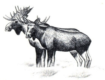 metsas kohta aastavahetuseni.