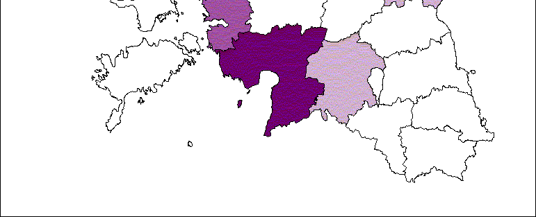 Rabapüü