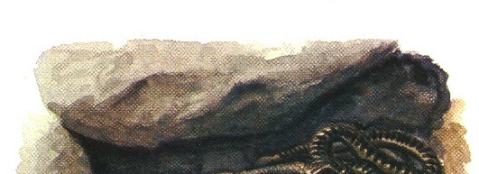 Roomajad talvel Maod