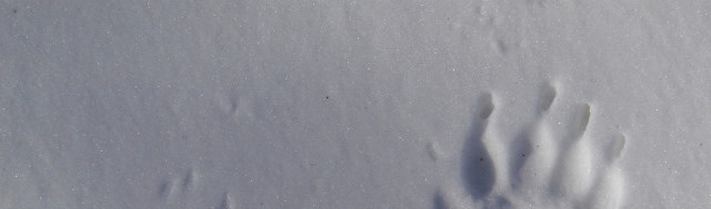 Mägra jäljed http://www.