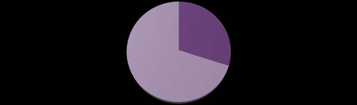 Tulisiko piirin valita uudeksi tiedotuskanavaksi sosiaalinen media vai vuorovaikutteinen Internet-sivusto?