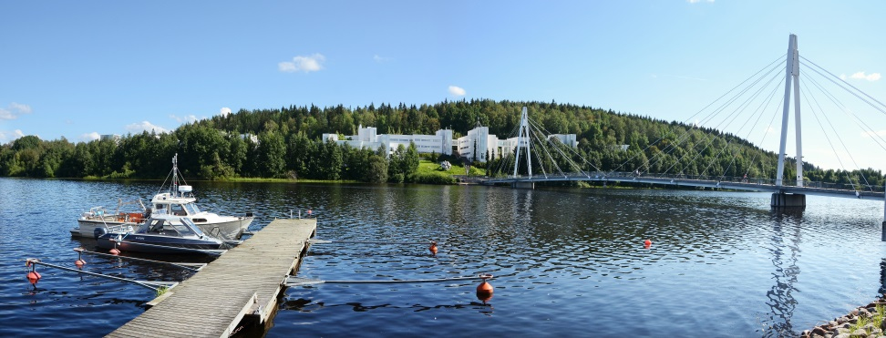 Väitöskirjavaatimukset 5) Väitöskirjaa ei voi