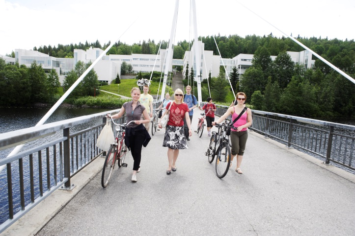 käsikirjoituksista sekä väittelijän niistä laatimasta yhteenvedosta.