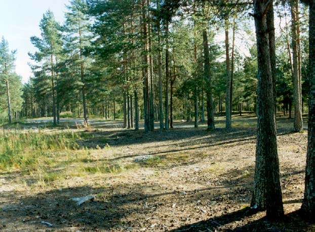 Kuva 17. Valkiaisjärven uimarannan kulunutta kuivaa kangasmetsää. Ongelmakartoitukseen on lisäksi merkitty PSV-Maa ja Vesi Oy:n tutkimat alueet. Ongelma-alueet on osoitettu piirustuksessa 04. 5.