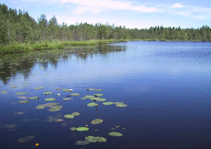 latinaksi suomeksi valtak. IUCN dir.