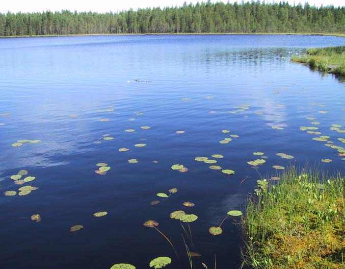 Kuvat 3 ja 4. Harakkalampi (yllä) ja Mustalampi ovat karuja ulpukkatyypin lampia. Mustalammen reunaa kiertävät pitkospuut.