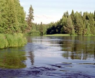 Tarkennetun vesiensuojelusuunnitelman sisältö Hankkeen ympäristövaikutukset Kuvaus Naturavesistön luontotyypeistä ja niiden edustavuudesta; aiheesta tietoa muun muassa: http://www.syke.