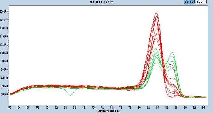 18 Kuva 11. Sulamiskäyräanalyysi: ENRI alueen monistaminen käyttäen VP4/2 HRV/HEV OAS-aluketta.