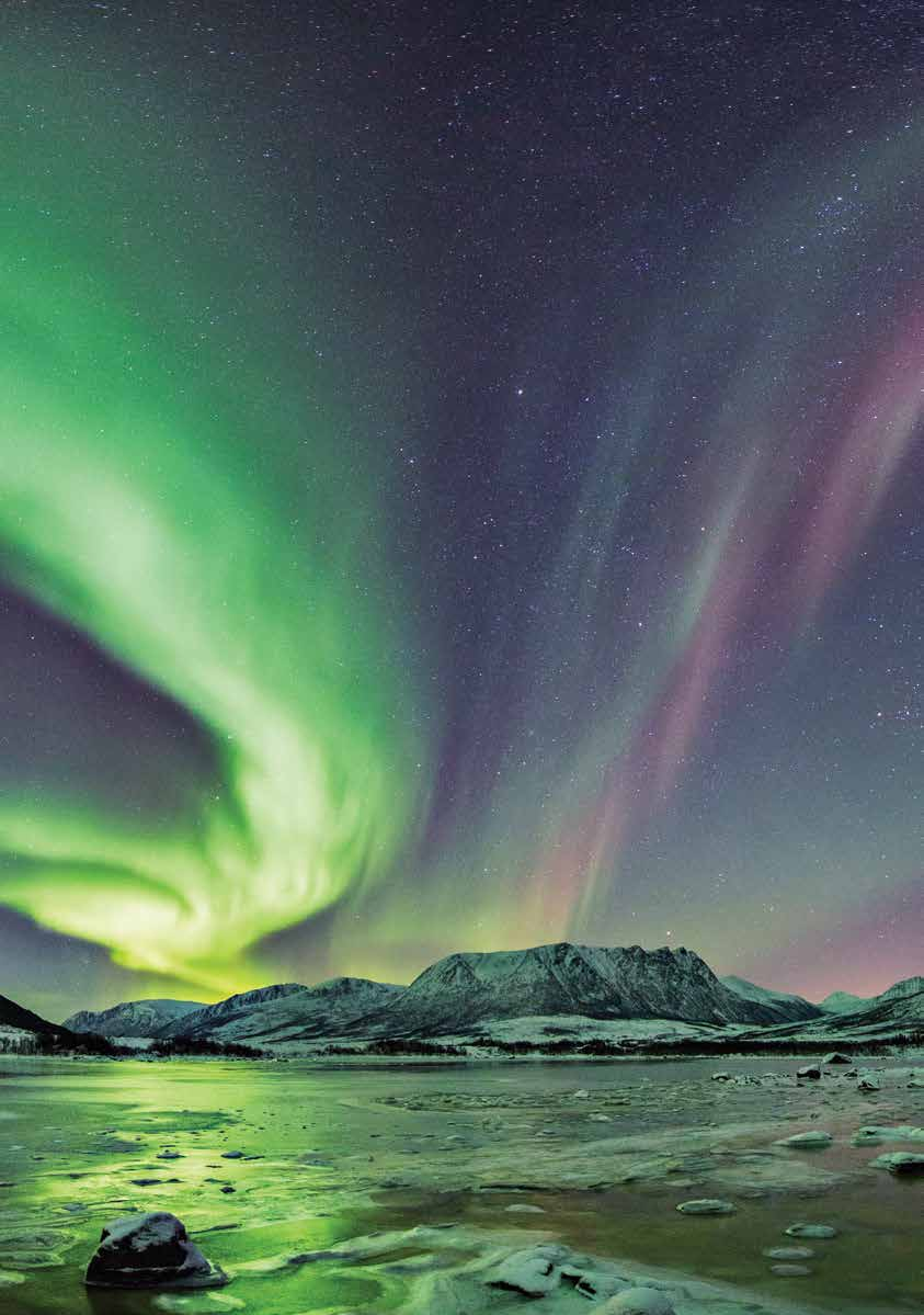 TEHOKKUUTTA SUORAAN LUONNOSTA Ympäristöä säästävä ja turvallinen uutuus Diversey Carelta SURE-puhdistusaineet ovat 100