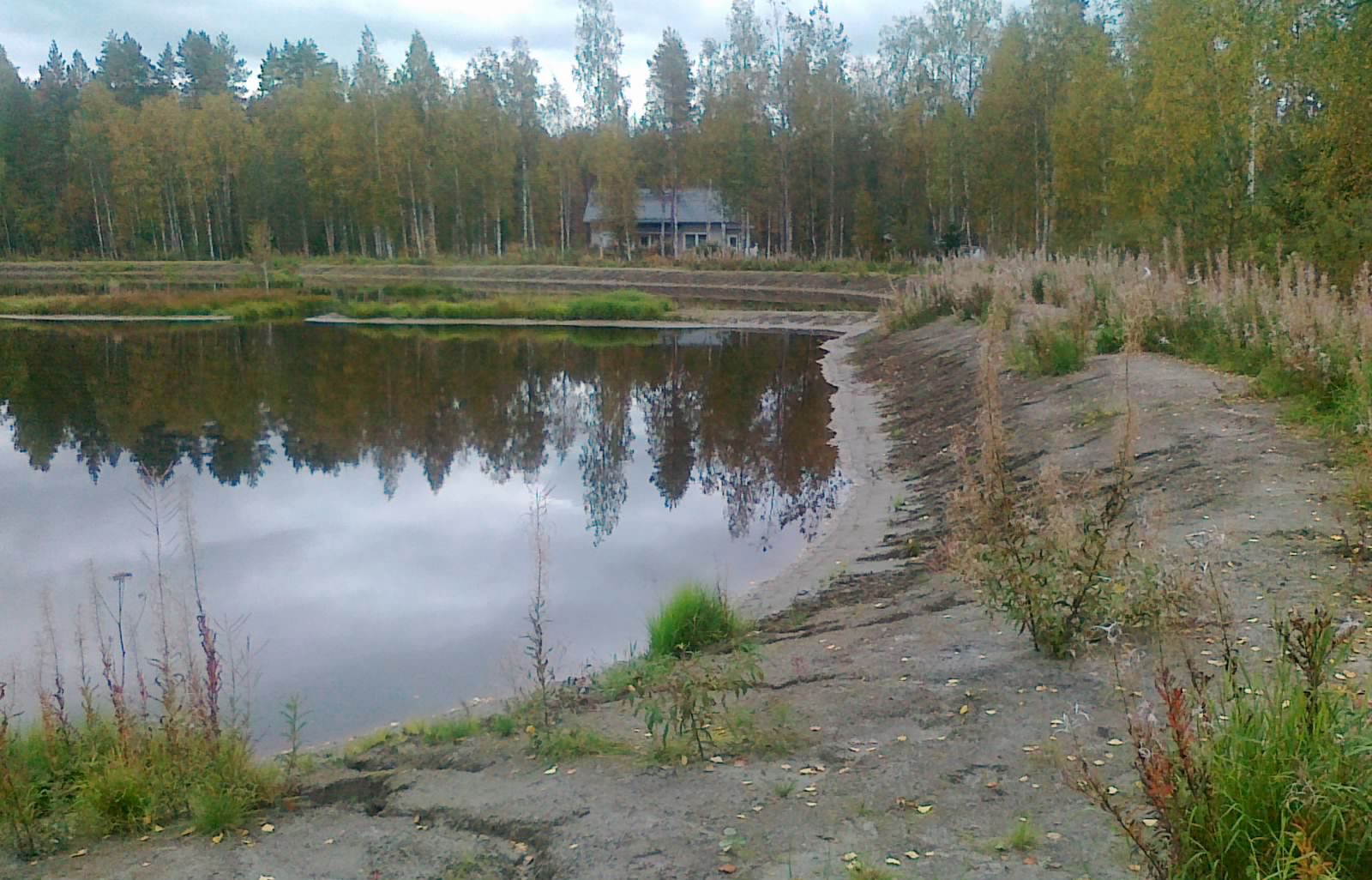 kahden saatto-ojan kautta. Itse luhtamainen ja täysin puuton pintavalutuskenttä häämöttää koivurivistön takana.