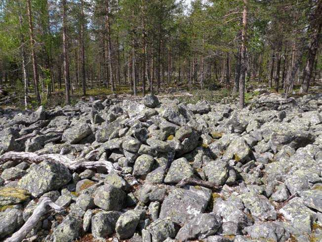 suojeluarvo Ympäristön 0 Ei määritelty Torni 1 jäännös,