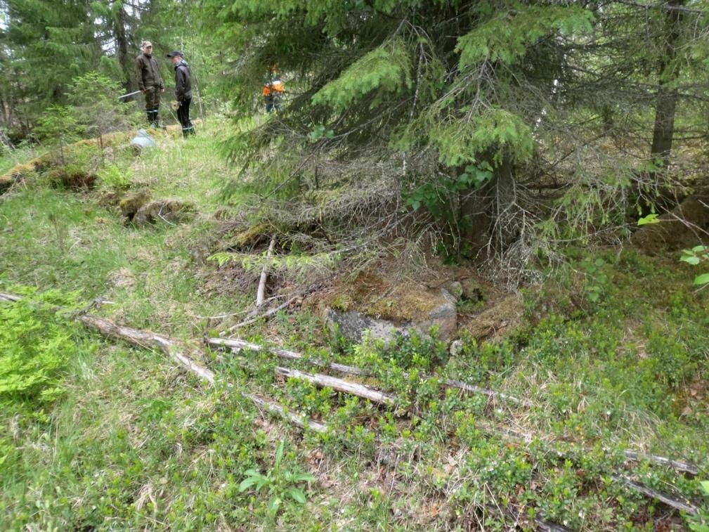 185 Kohde rajautuu aluemaisesti näkyvien jäänteiden mukaisesti. Tulkinta Vielä 1960-luvulla käytössä ollut iso savottakämppä (tiedonanto Mauno Tyni).