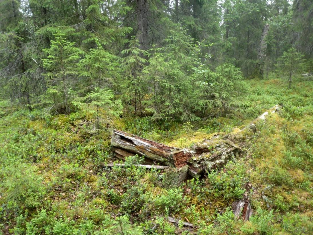 202 Olotila: Arvotus: 8 Muu suojeluarvo Kohteen 2 Ei käytössä 9